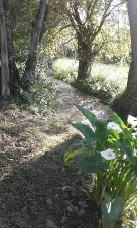 TERRENO EN VENTA SAN LUIS