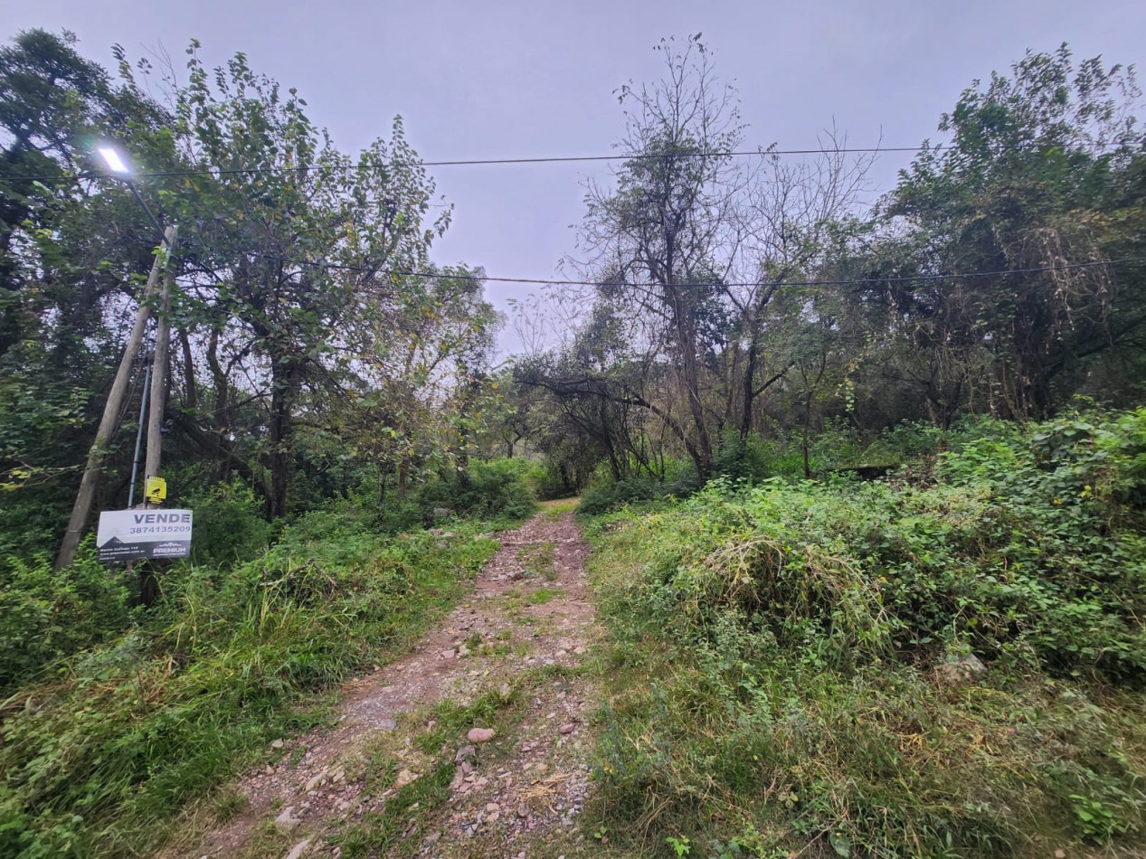 Venta Terreno en Castellanos