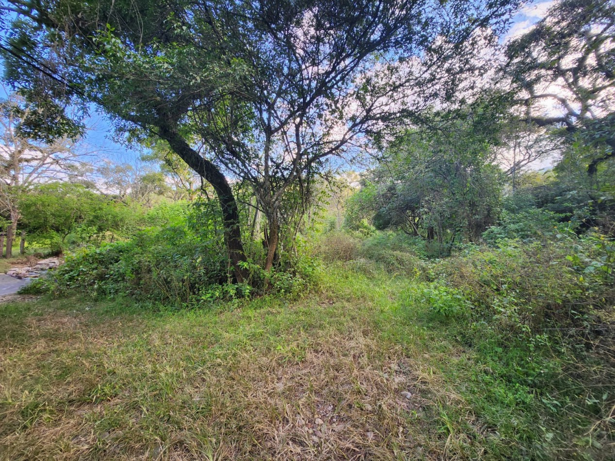 Venta Terreno en Castellanos