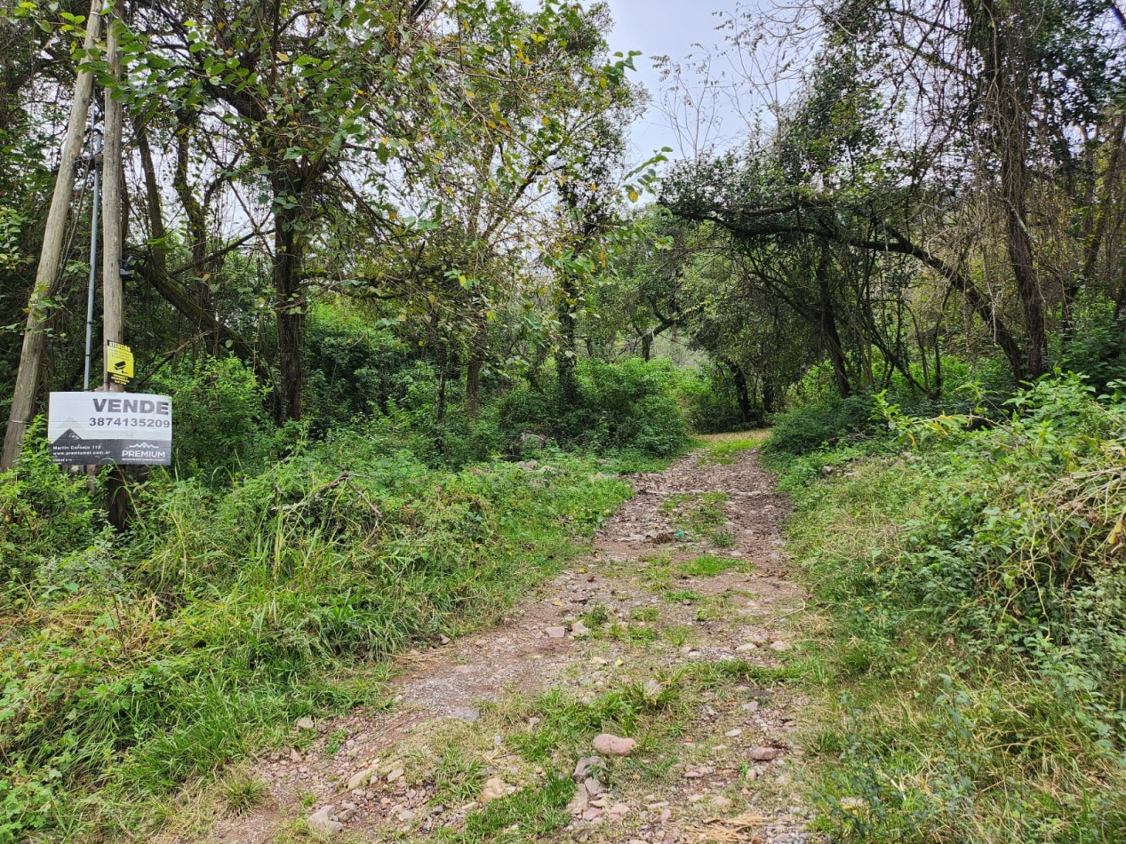 Venta Terreno en Castellanos