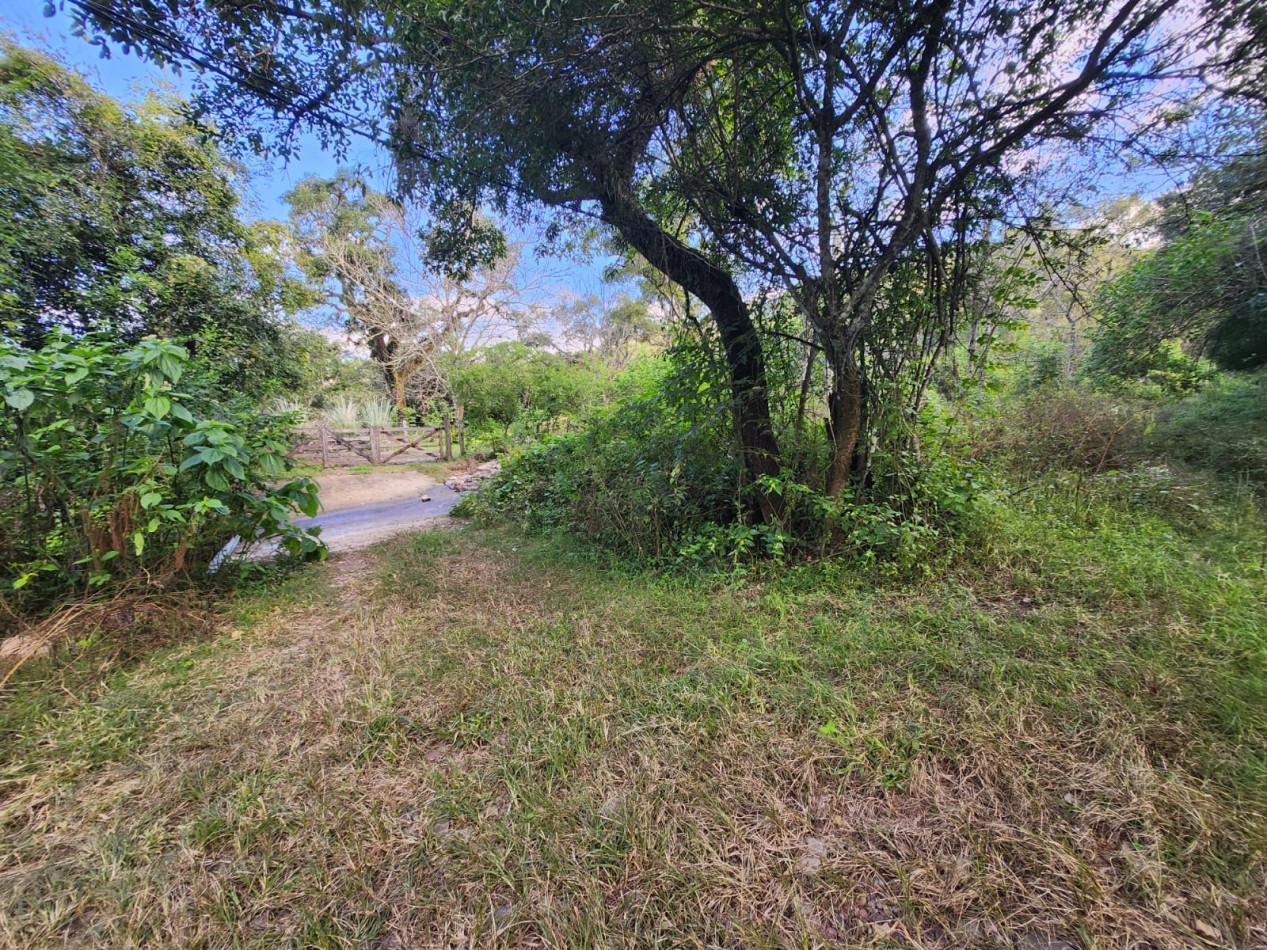 Venta Terreno en Castellanos