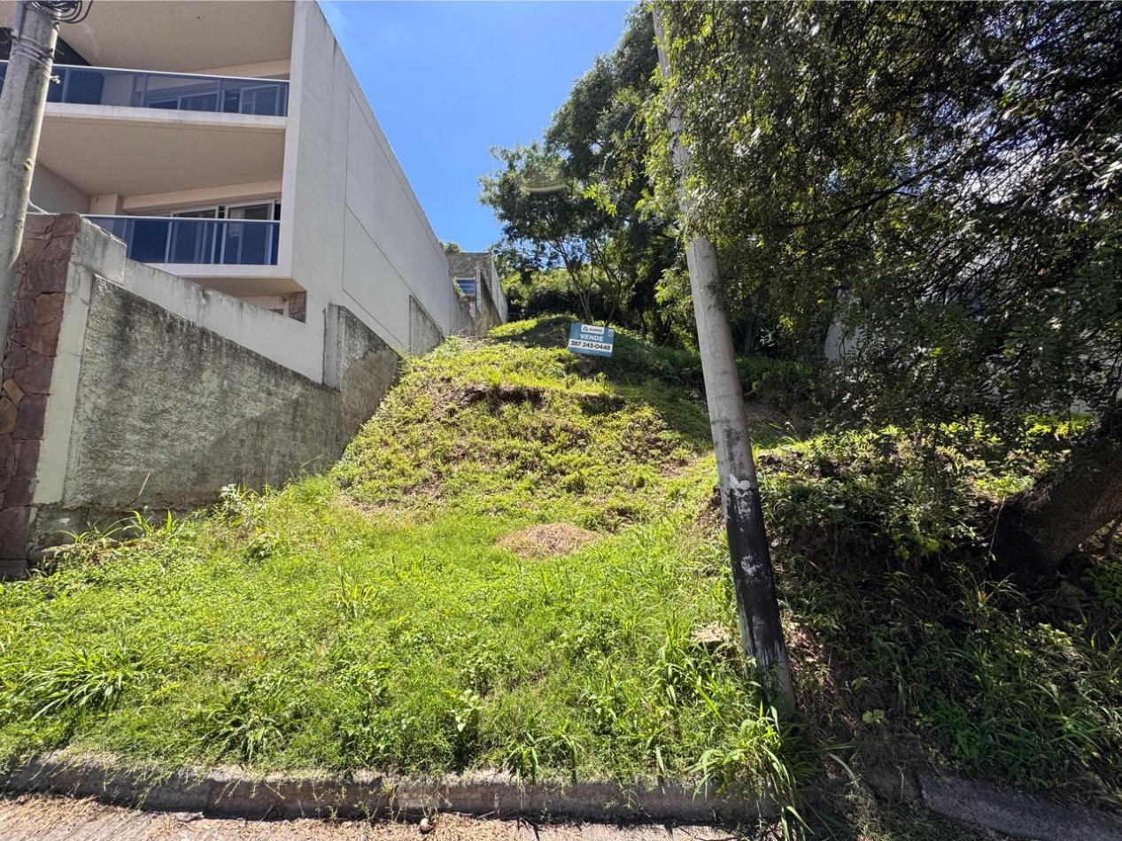 TERRENO TRES CERRITOS