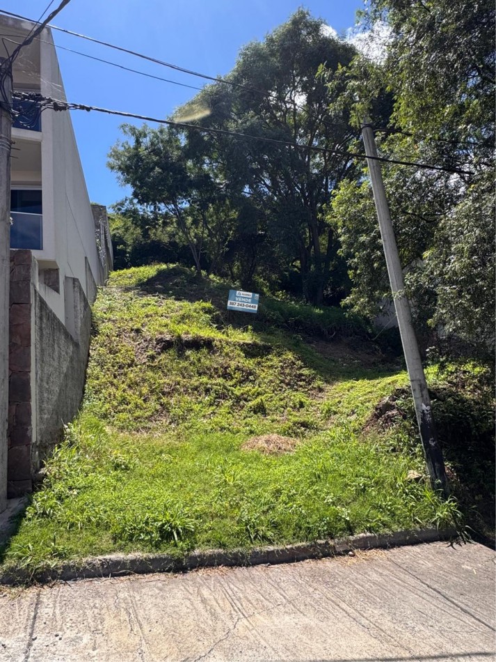 TERRENO TRES CERRITOS