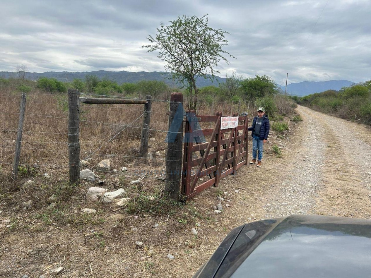 FINCA AGRICOLA/GANADERA - LA CALDERA