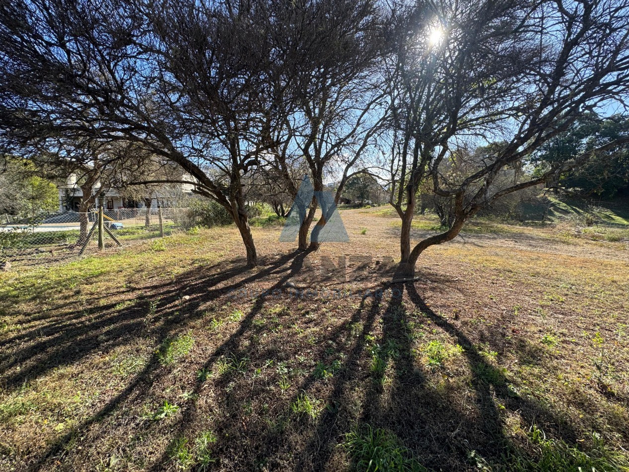 TERRENO EN VENTA LA AGUADA SAN LORENZO CHICO