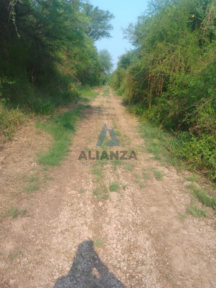 Finca en venta - Quebrachal, Departamento de Anta (Salta)