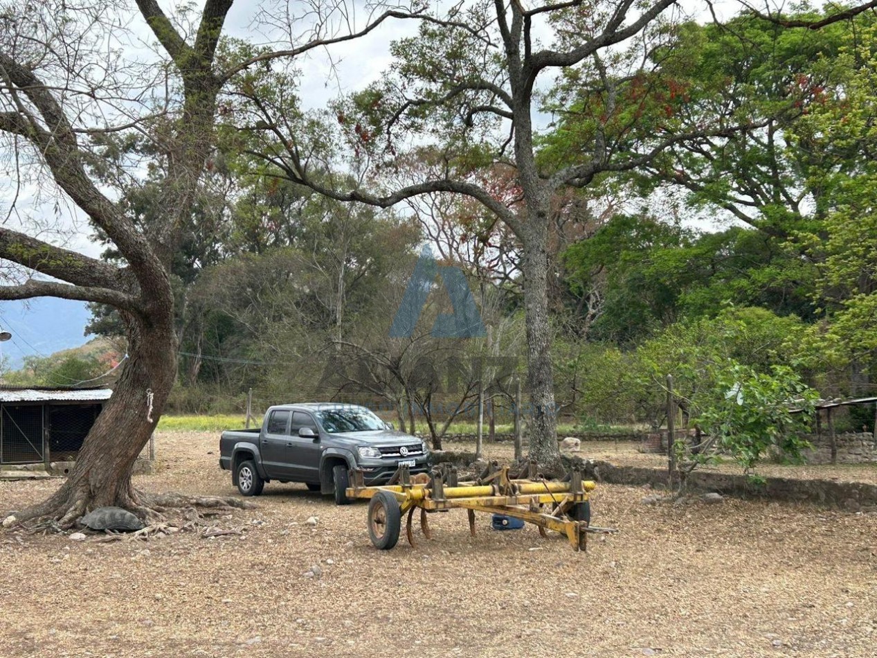 FINCA AGRICOLA/GANADERA - LA CALDERA