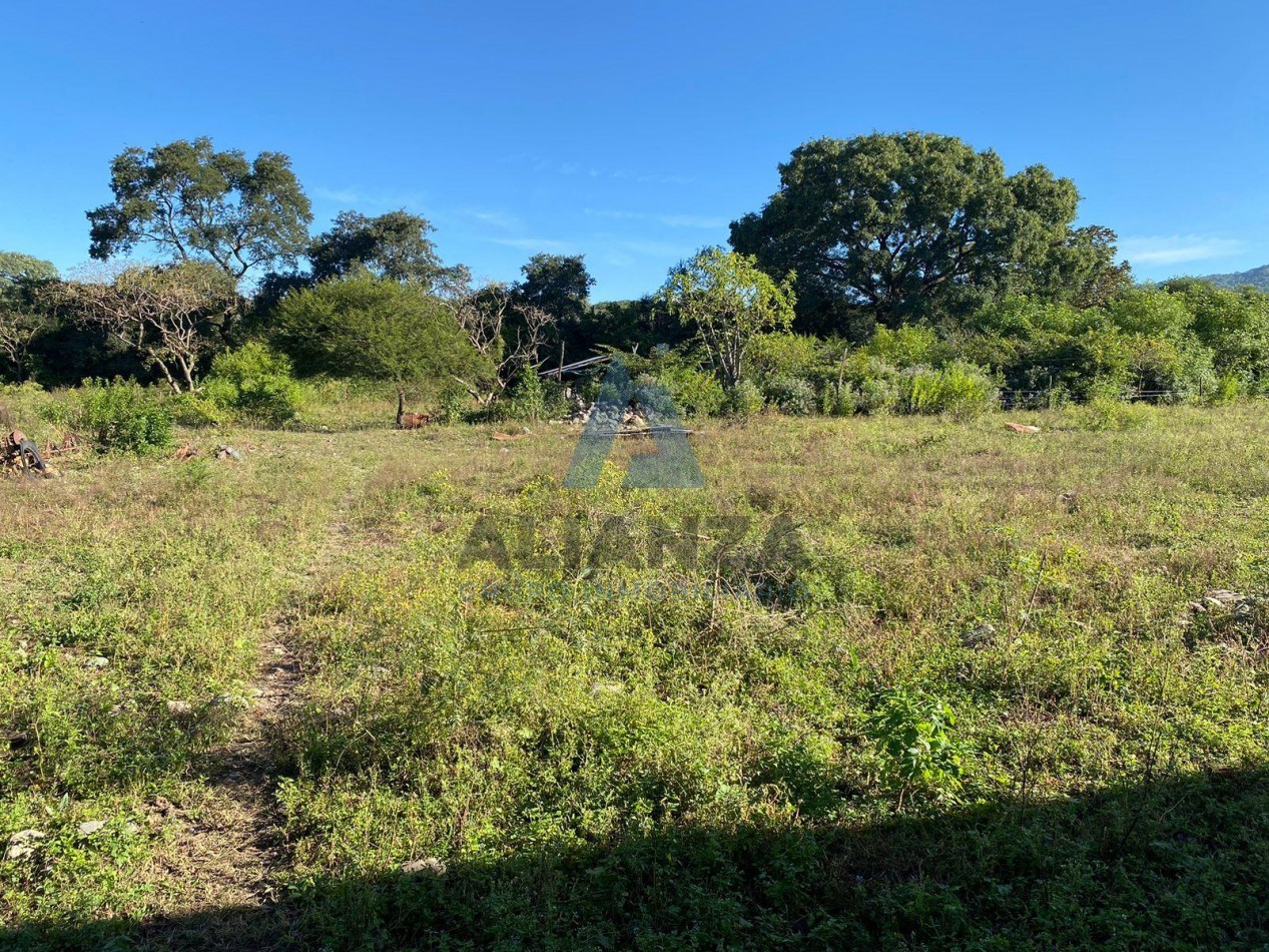FINCA AGRICOLA/GANADERA - LA CALDERA