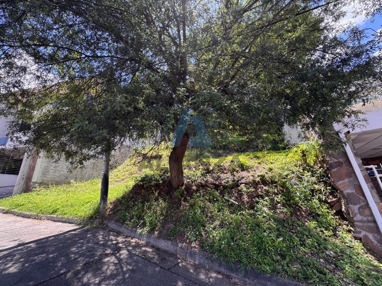 TERRENO TRES CERRITOS