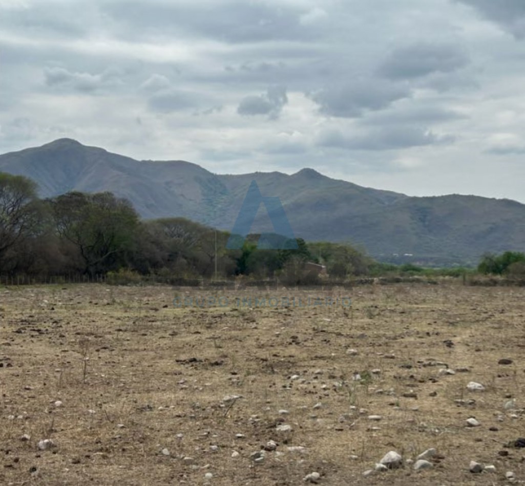 FINCA AGRICOLA/GANADERA - LA CALDERA