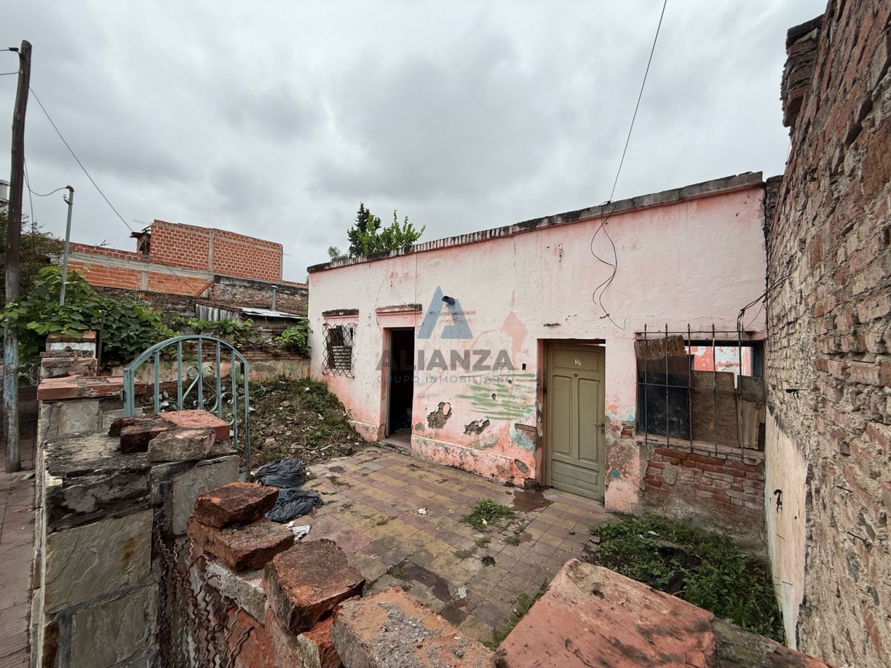 Terreno
