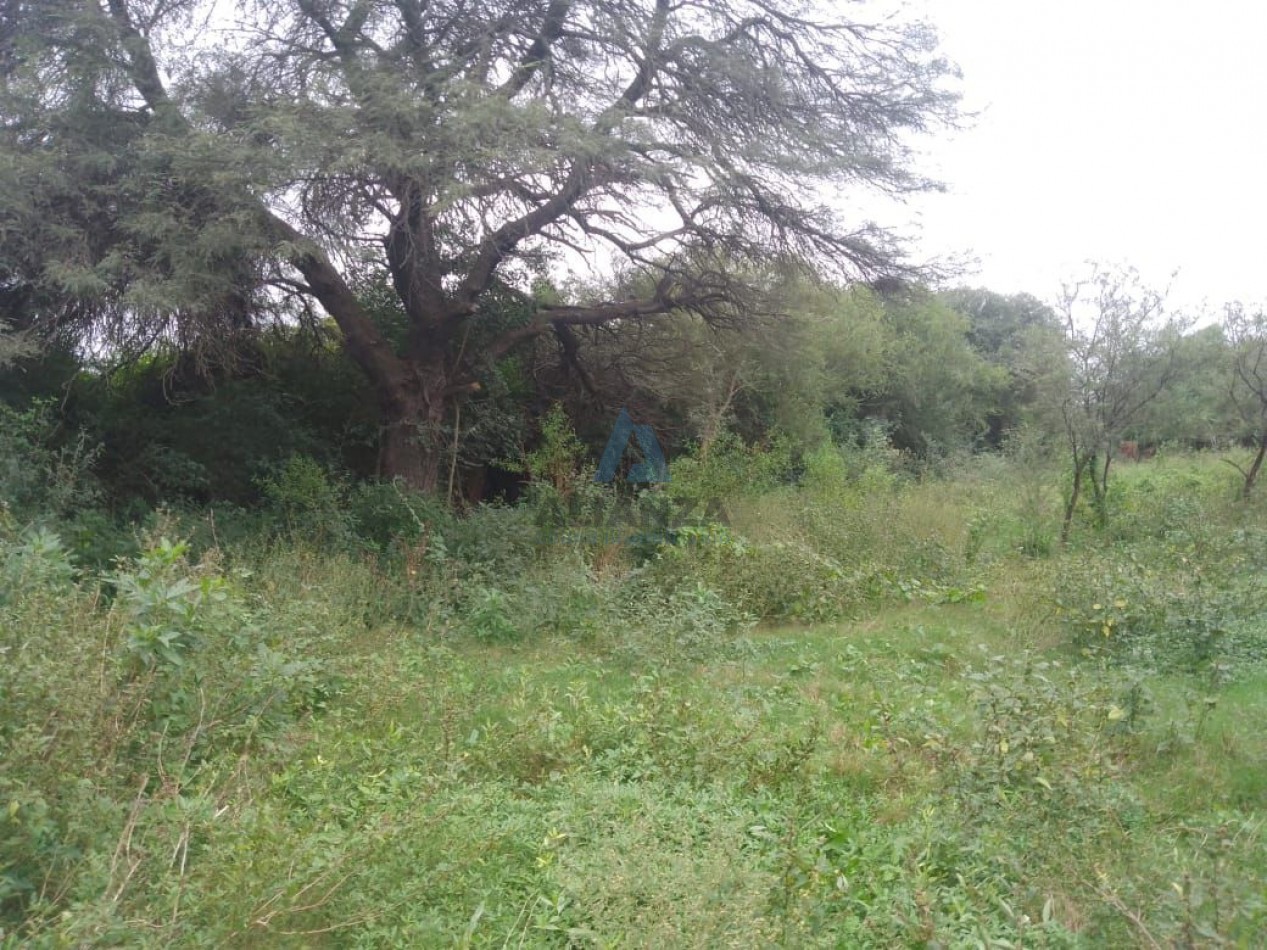 Finca en venta - Quebrachal, Departamento de Anta (Salta)