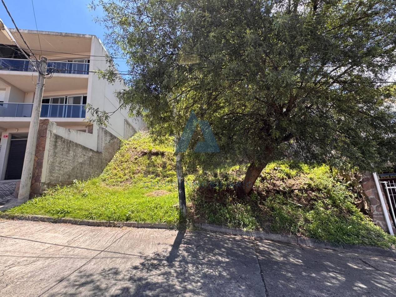 TERRENO TRES CERRITOS