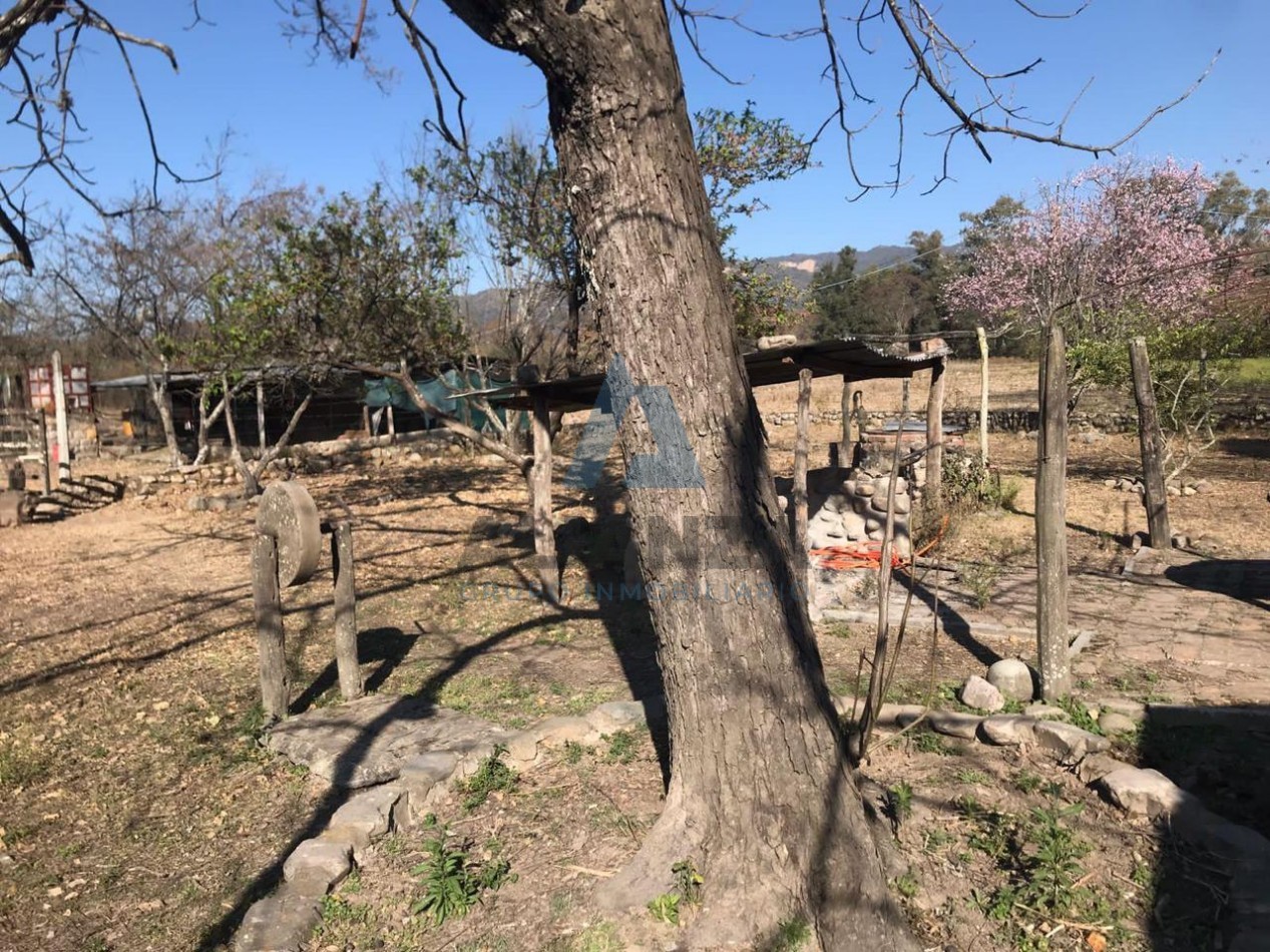 FINCA AGRICOLA/GANADERA - LA CALDERA