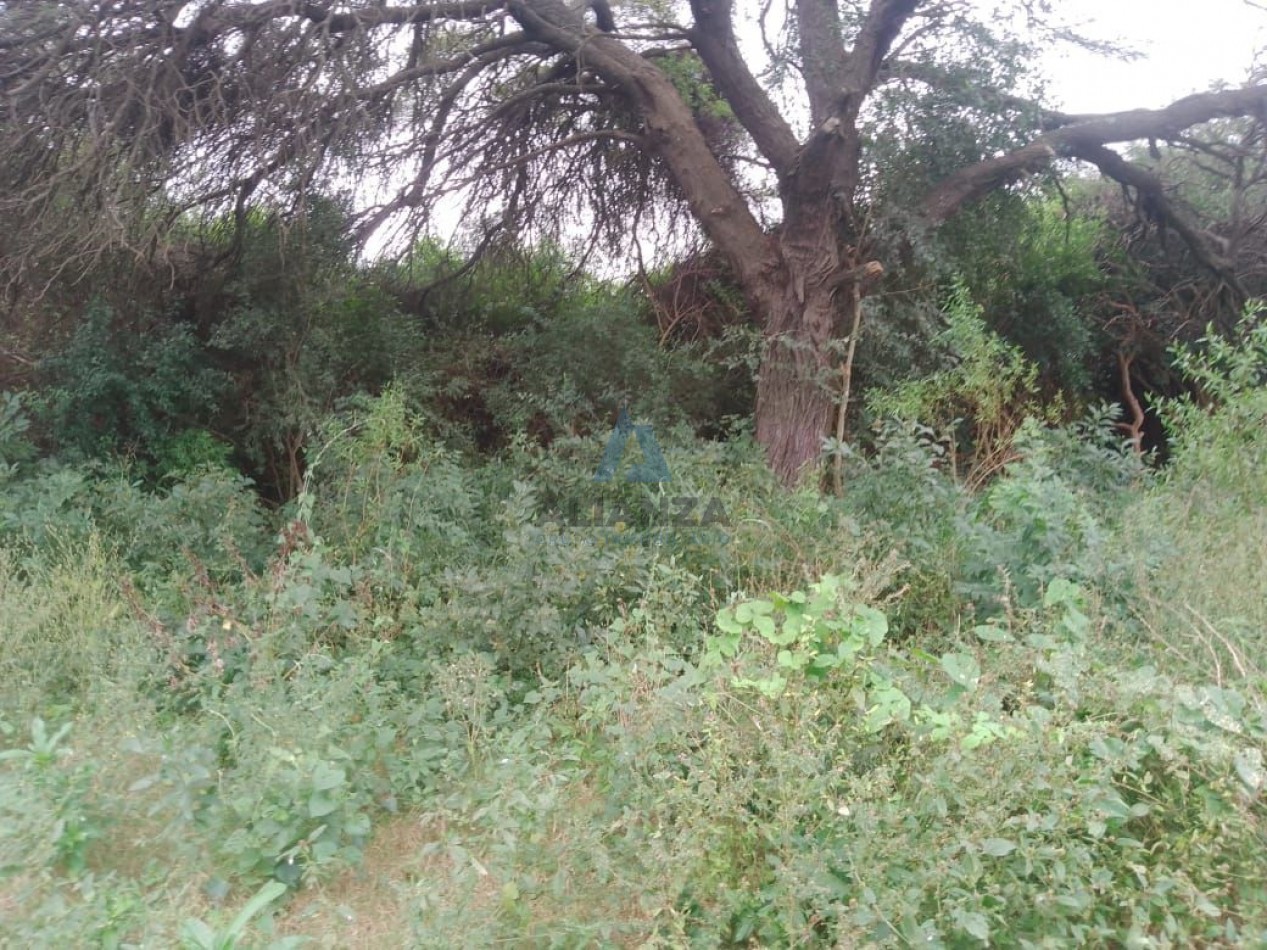 Finca en venta - Quebrachal, Departamento de Anta (Salta)