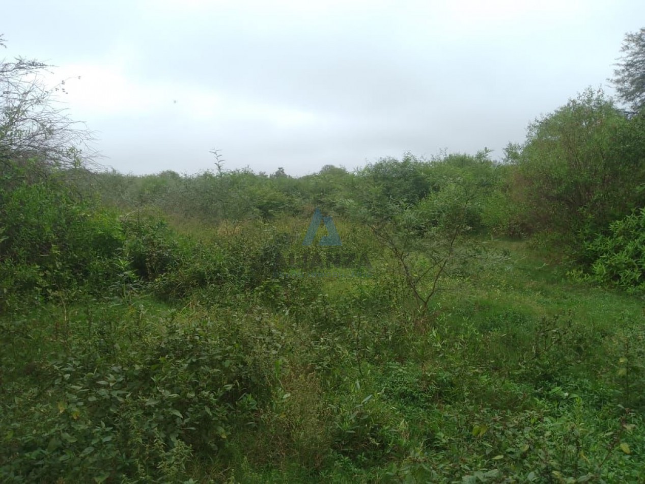 Finca en venta - Quebrachal, Departamento de Anta (Salta)