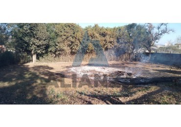 TERRENO VAQUEROS